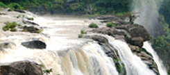 Athirappalli  Waterfalls - 25 Kms